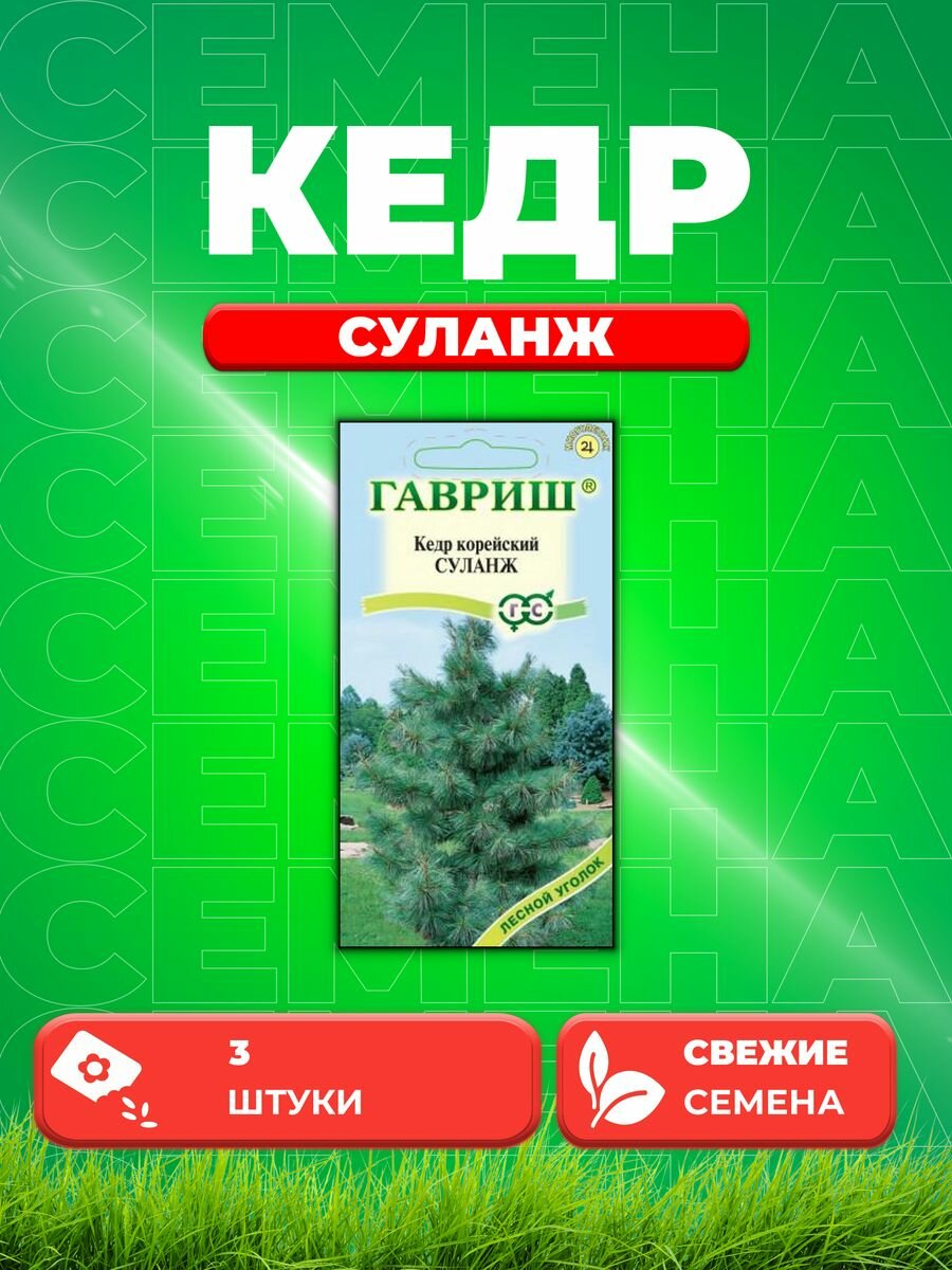 Кедр корейский Суланж 3 шт.