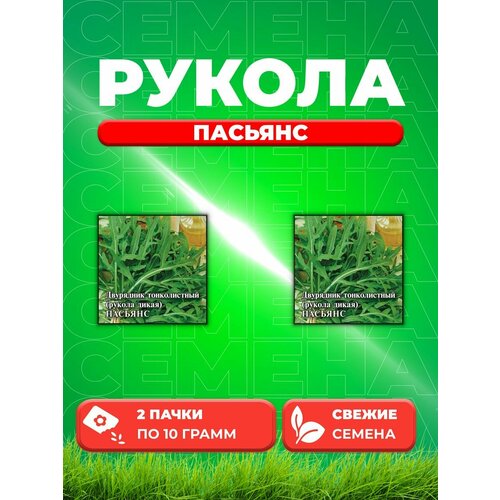 Двурядник тонколистный (Рукола дикая) Пасьянс 10,0 г (2уп)