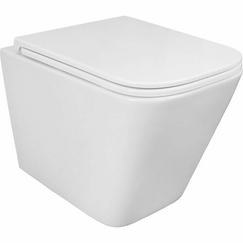 Унитаз подвесной Azuma PRO-02 безободковый, c быстросъемным сиденьем микролифт