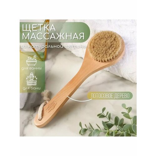 Щётка массажная из натуральной щетины 706₽
