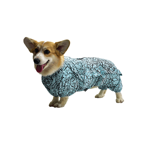 Пыльник на Корги ДжекиДог с ловушками от клещей для собаки-мальчика 55 цв Синий серпантин 2280₽