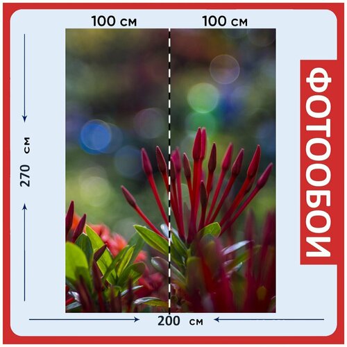 Фотообои Фиолетовый ночь небо 200x270 см флизелиновыена стену 2950₽