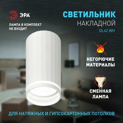 Светильник потолочный настенный спот ЭРА OL42 WH MR16 GU10 IP20 белый