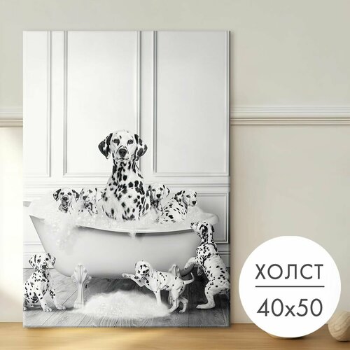 фото Картина на холсте "собака далматинец в ванной" 40x50 на стену для интерьера 28 kartin