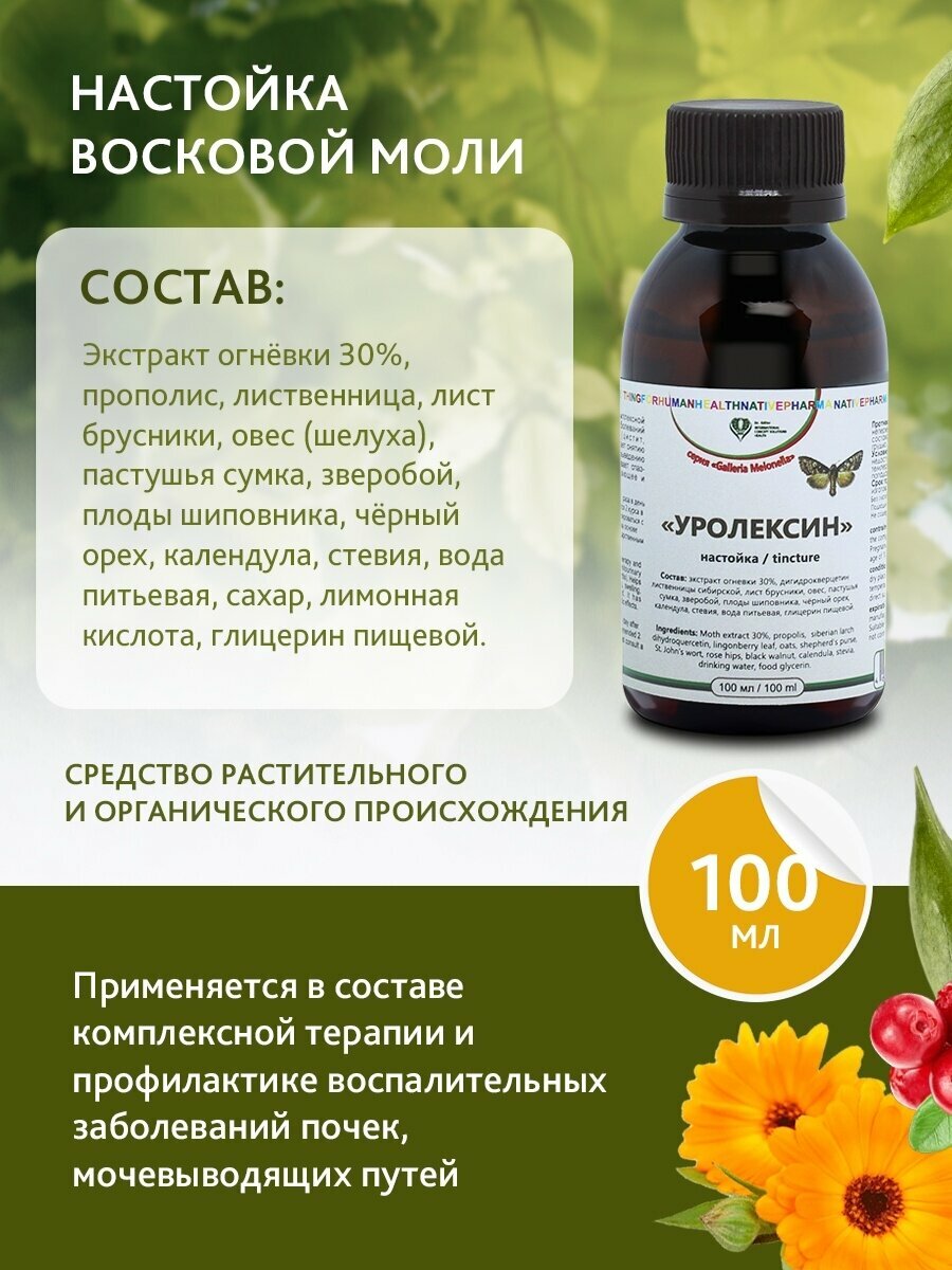 Изображение Настойка Огневки (Восковая моль) "Уролексин" для почек, мочевыводящих путей против песка и шлаков