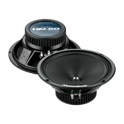 Колонки автомобильные динамики 20 см Deaf Bonce Hannibal HM-80 PRO автоакустика Alphard 511000₽