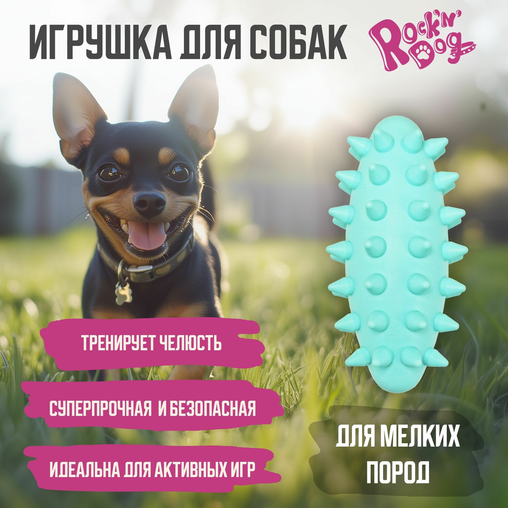 Игрушка для собак мелких пород Альпина Пласт 