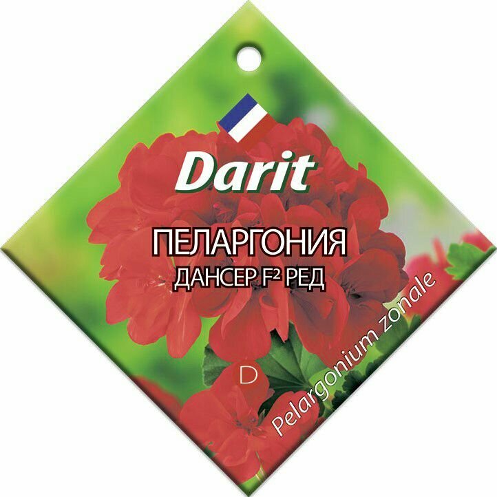 Семена Дарит 