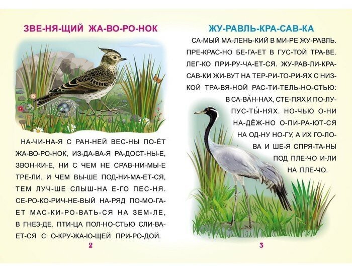 Читаем по слогам. Читалочки-познавалочки «Рассказы: слоговой тренажёр» - фото №2