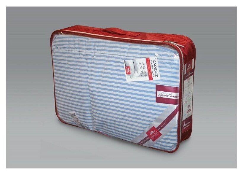 Одеяло пуховое всесезонное KARIGUZ Classic, КЛ21-7-3, 200х220 - фотография № 7