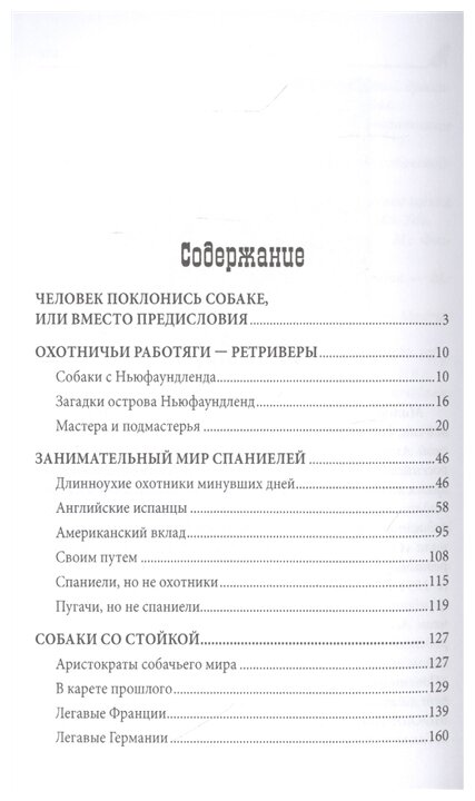 Подружейные собаки. Ретриверы, спаниели, легавые - фото №2