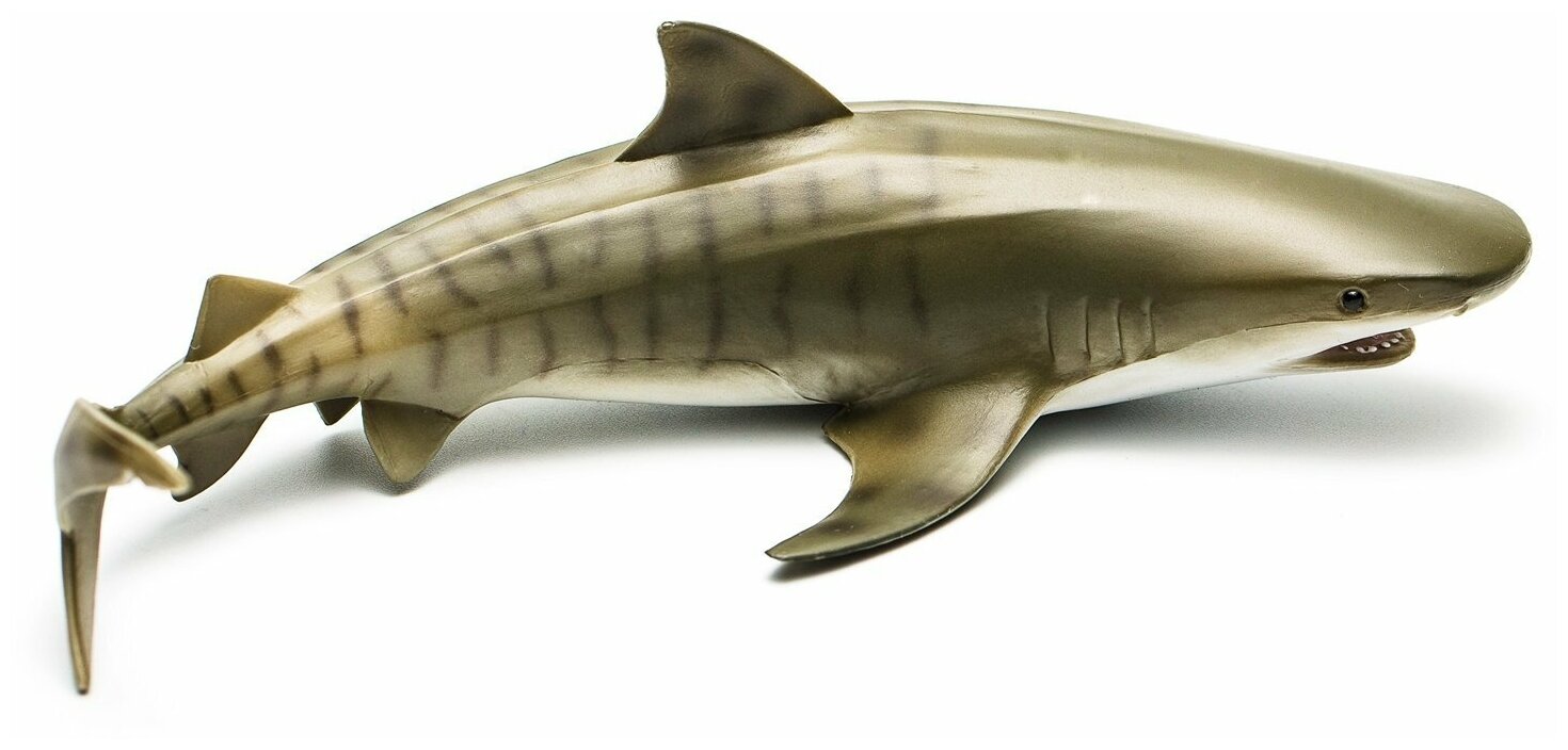 Фигурка Collecta Тигровая акула 16.5 см - фото №9