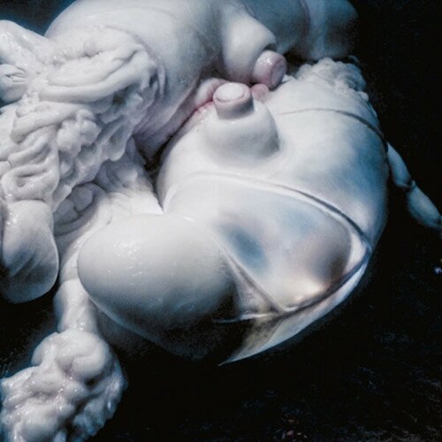 Björk – Arisen My Senses (Slug Genital Coloured Vinyl)