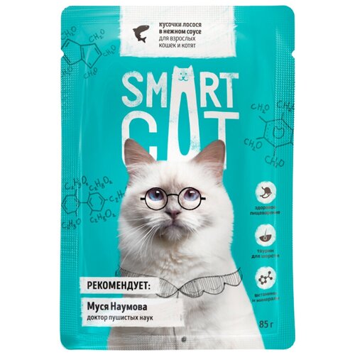 Smart Cat паучи Паучи для взрослых кошек и котят кусочки лосося в нежном соусе, 0,085 кг (10 шт)