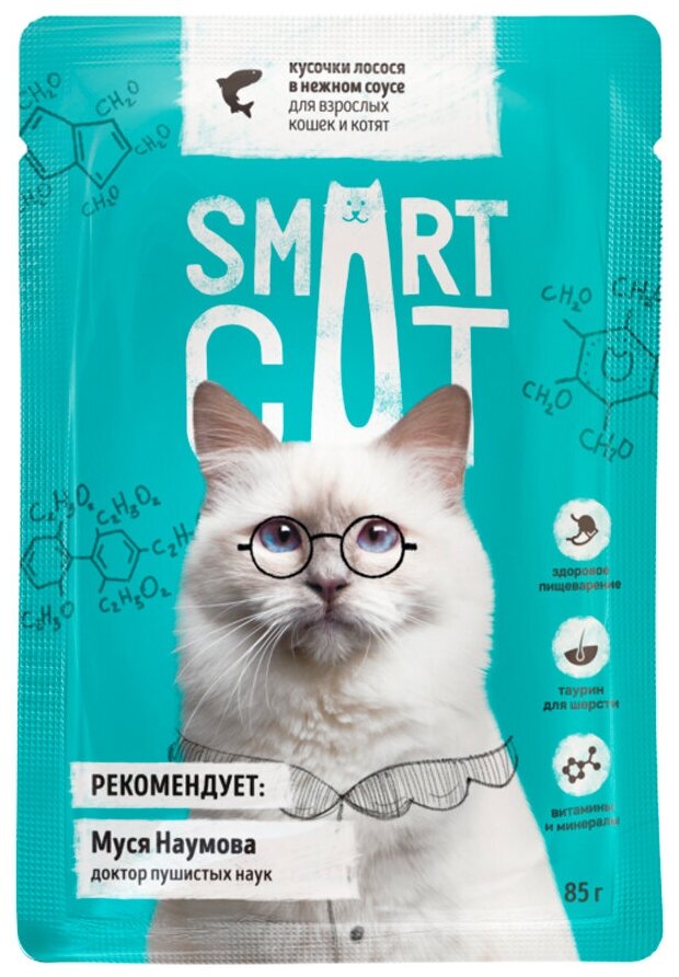 Корм Smart Cat для кошек и котят кусочки лосося в соусе, 85 г x 25 шт - фотография № 1