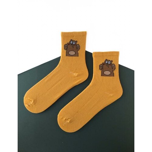 фото Носки , размер 41, желтый country socks