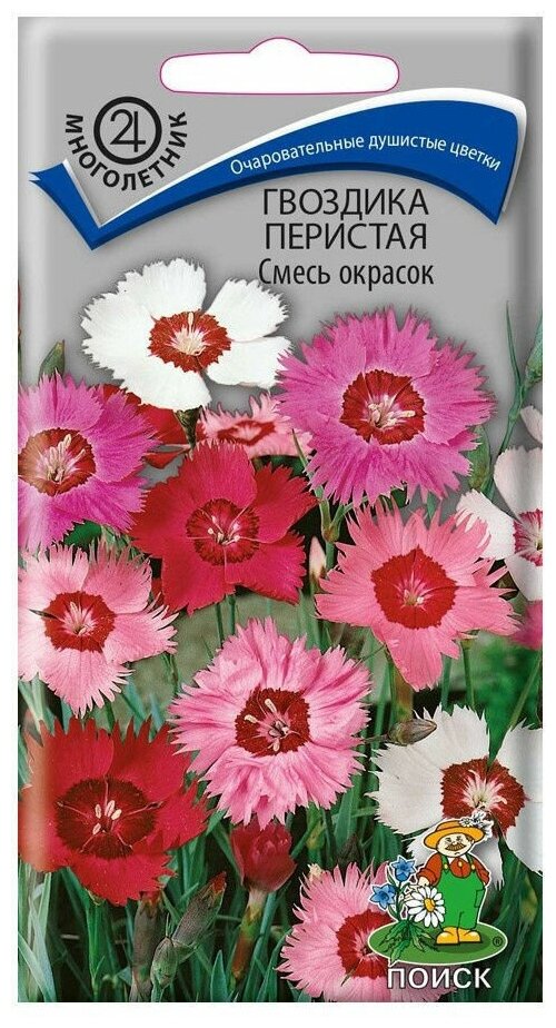 Гвоздика перистая Смесь окрасок многол. 0,3гр. (Поиск)