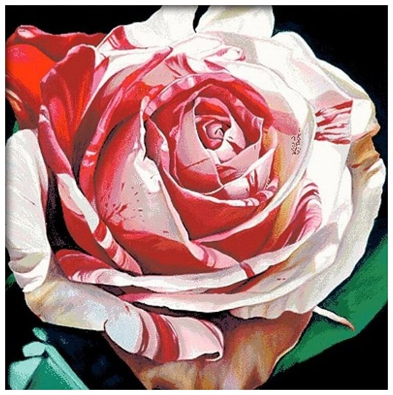 Алмазная мозаика "Алая роза" 50x50 см