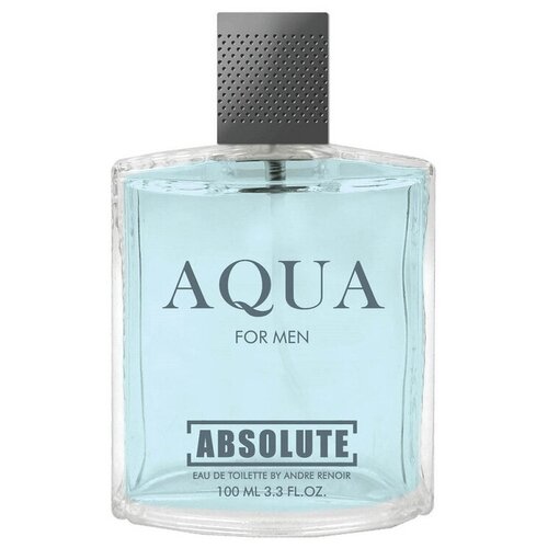 Today Parfum туалетная вода Absolute Aqua, 100 мл, 100 г туалетная вода мужская absolute aqua 100 мл