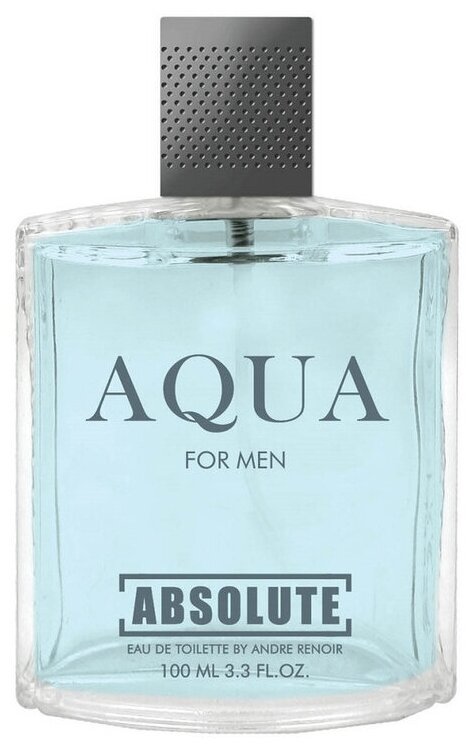 Туалетная вода мужская 100мл, Absolute Aqua