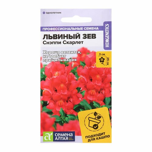 Семена цветов Львиный зев 