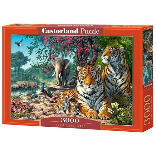 Castorland Пазл Тигровый заповедник 3000 элементов 0600/C-300600 с 14 лет