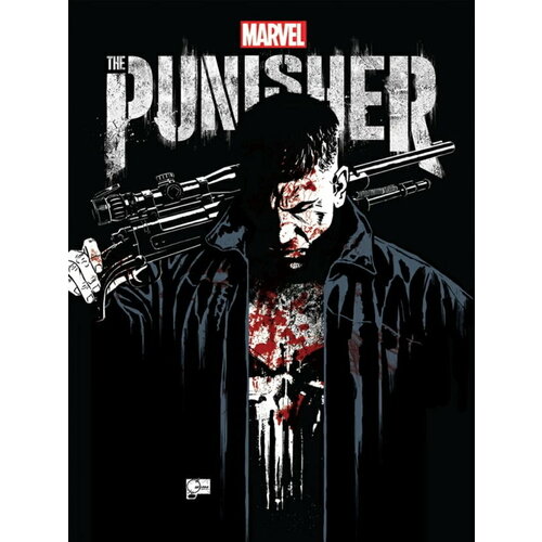 Плакат, постер на бумаге Punisher/Каратель/игровые/игра/компьютерные герои персонажи. Размер 42 х 60 см