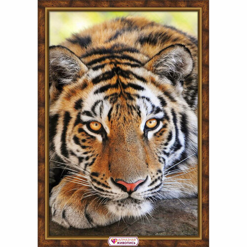 Картина стразами Алмазная Живопись 