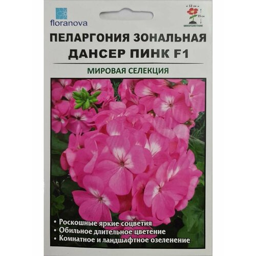 Пеларгония зональная дансер пинк F1, 5семян пеларгония королевская клерион пинк уиз ай