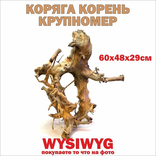 Коряга крупномер для аквариума 60х48х29 см Визивиг/ декорация для аквариумов и террариумов/ живой биофильтр