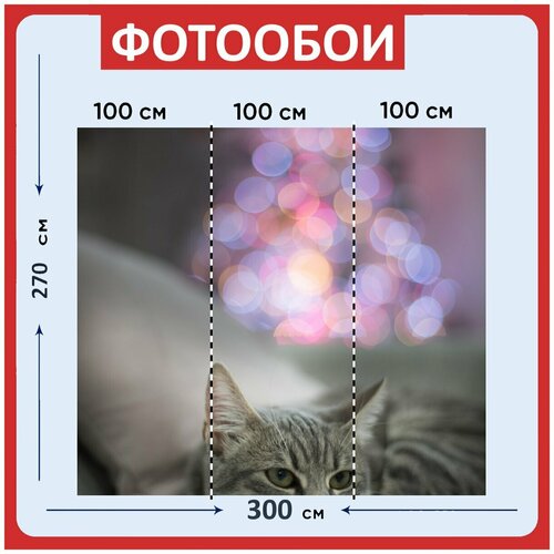 Фотообои Кошка полосатый серый кот 300x270 см флизелиновыена стену 3970₽