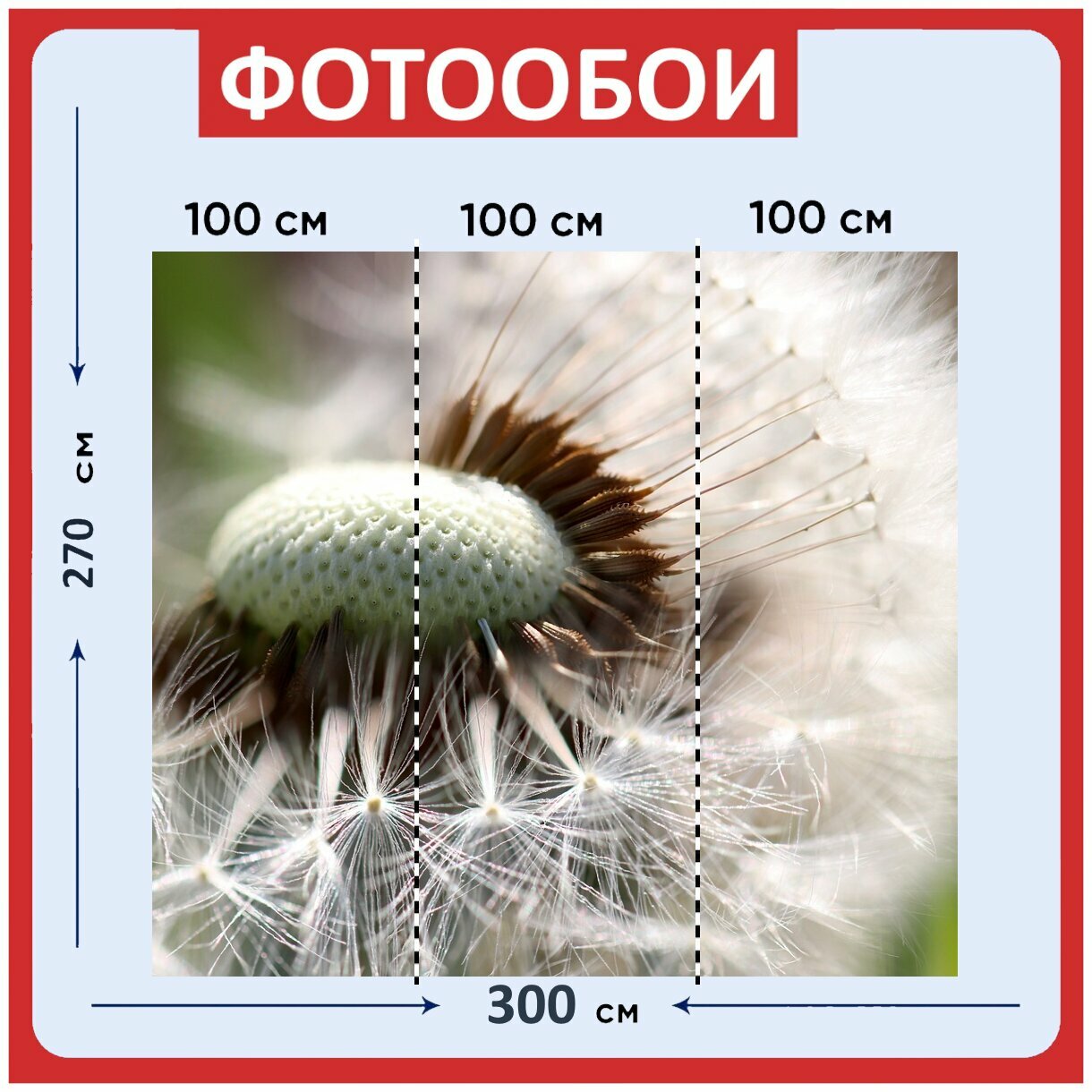Фотообои "Одуванчик, летающие семена, семена" 300x270 см. флизелиновыена стену