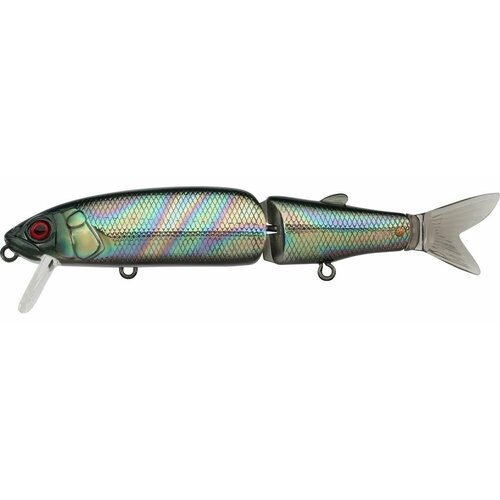 Jackall Magallon (ul tamamushi)