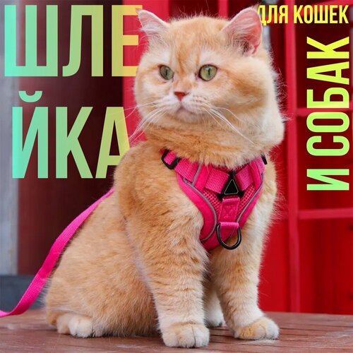 Шлейка с поводком Ergonomic для собак и кошек, размер S, цвет розовый, регулируемая