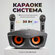 Сова - караоке система, Rexus SD 306 PLUS с двумя перезаряжаемыми...