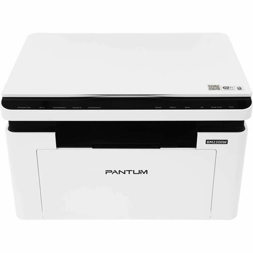 Pantum BM2300W