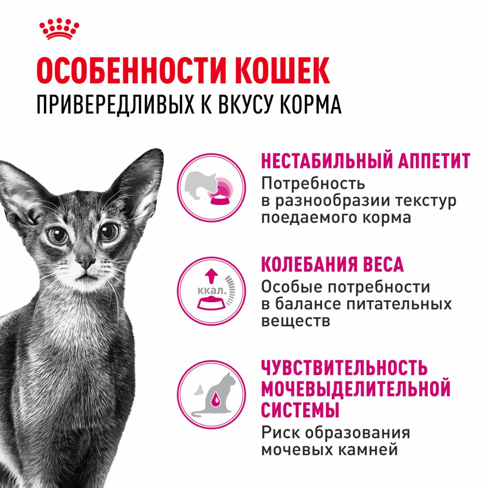 Royal Canin Корм сухой сбалансированный для привередливых взрослых кошек от 1 года, Savour Exigent — фото 1