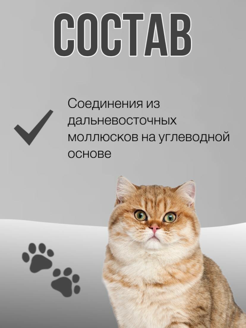 Кальций Пептид Silver Track 5+, для кошек, для кожи и шерсти, для зубов и костей, 20 г — фото 1