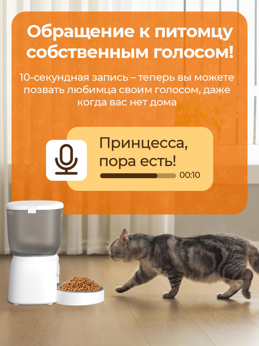 Умная автоматическая кормушка для кошек и собак KaringBee 4L, Wi-Fi-приложения Камера. KB-M-2 — фото 1