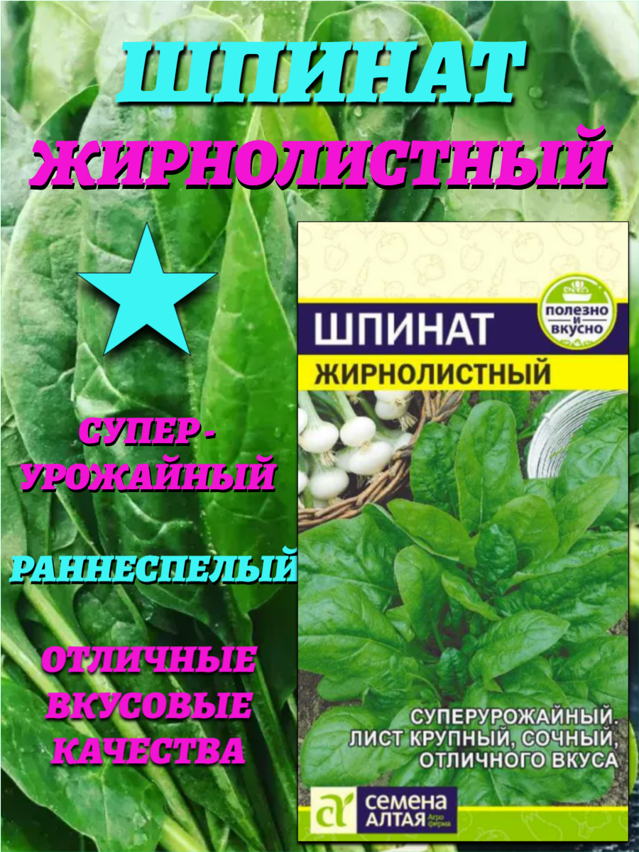 Зелень Шпинат Жирнолистный (1 гр). Суперурожайный. Семена Алтая
