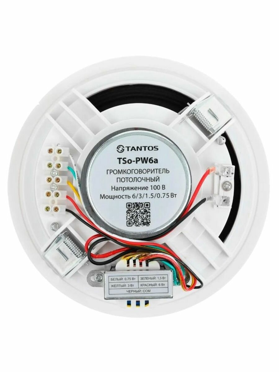 Громкоговоритель TSo-PW6a — фото 1