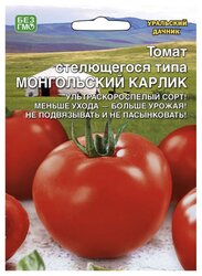 Семена Уральский дачник Томат Монгольский карлик стелющегося типа, 20 шт.