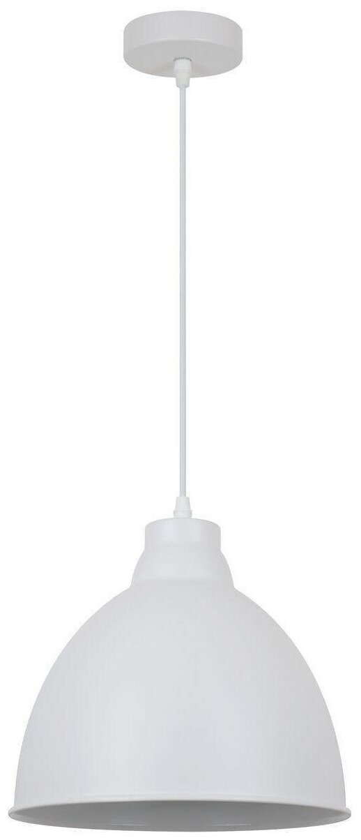 Подвесной светильник Arte Lamp BRACCIO A2055SP-1WH