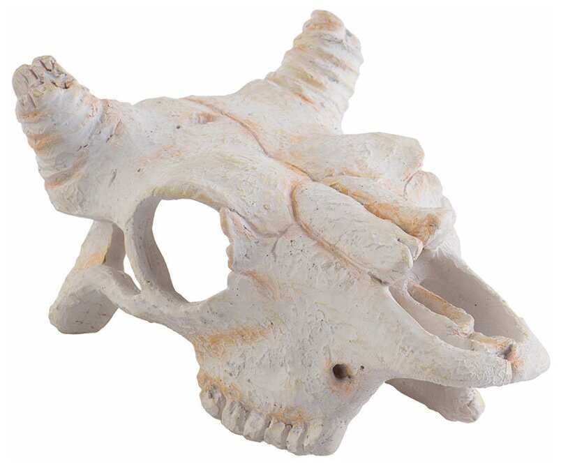 Грот Exo Terra Buffalo Skull Small 13x6x10 см бежевый