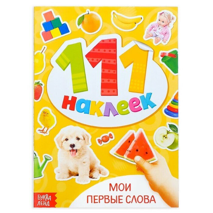 Книжка с наклейками Мои первые слова , 12 стр.