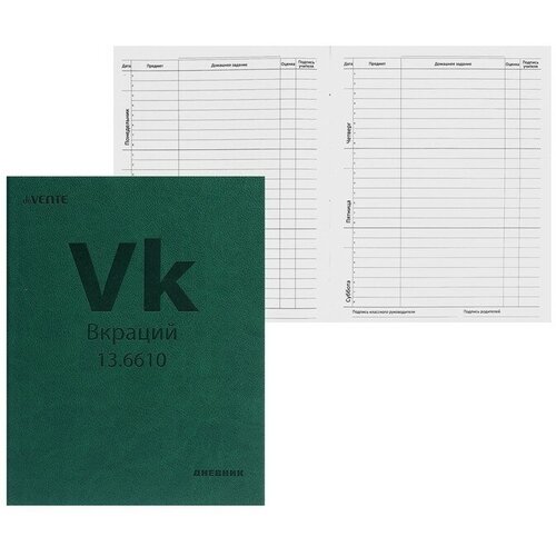 DeVENTE Дневник универсальный для 1-11 класса Vk (Вкраций), твёрдая обложка, искусственная кожа, термо тиснение, ляссе, 80 г/м2