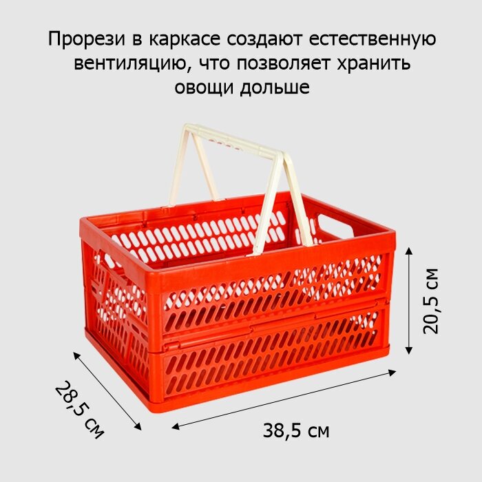 Ящик для хранения овощей и фруктов 18,0 л складной с ручками 385х285х205 мм пластик (Э)