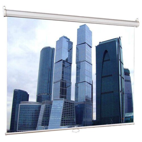 Рулонный матовый белый экран Lumien Eco Picture LEP-100110, 119, белый экран lumien eco picture 180x180cm lep 100102