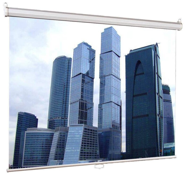 Экран Lumien Eco Picture LEP-100110, 220х220 см, 1:1, настенно-потолочный