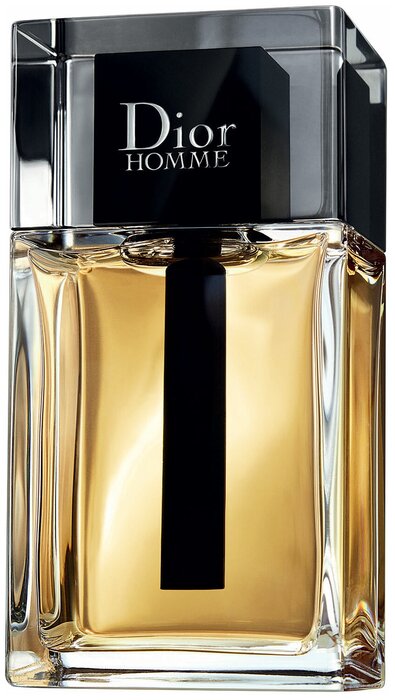 dior homme in